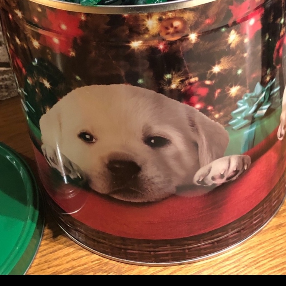 Large dog tin Christmas items